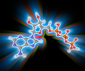 adenosine molecules building up